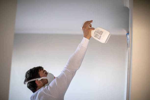 Best Commercial Mold Removal  in Ferron, UT
