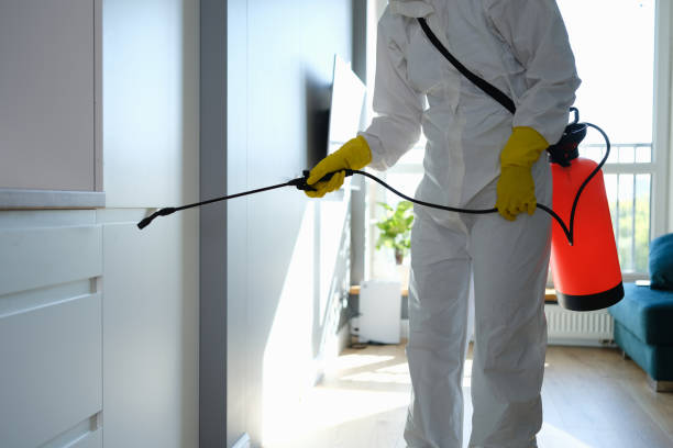Best Mold Remediation Services  in Ferron, UT