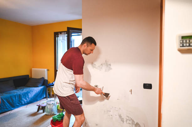 Best Mold Removal Near Me  in Ferron, UT